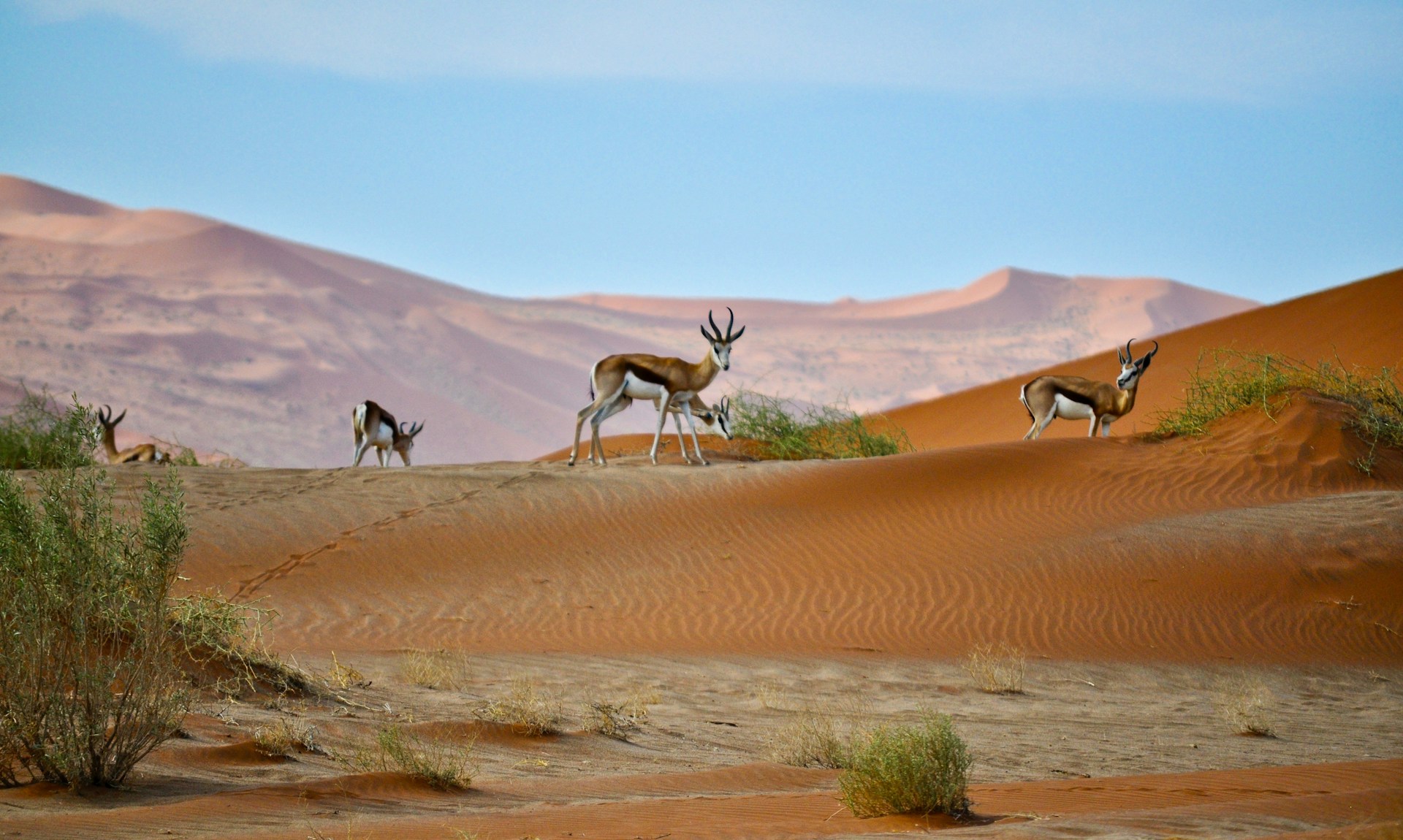 Le climat en Namibie