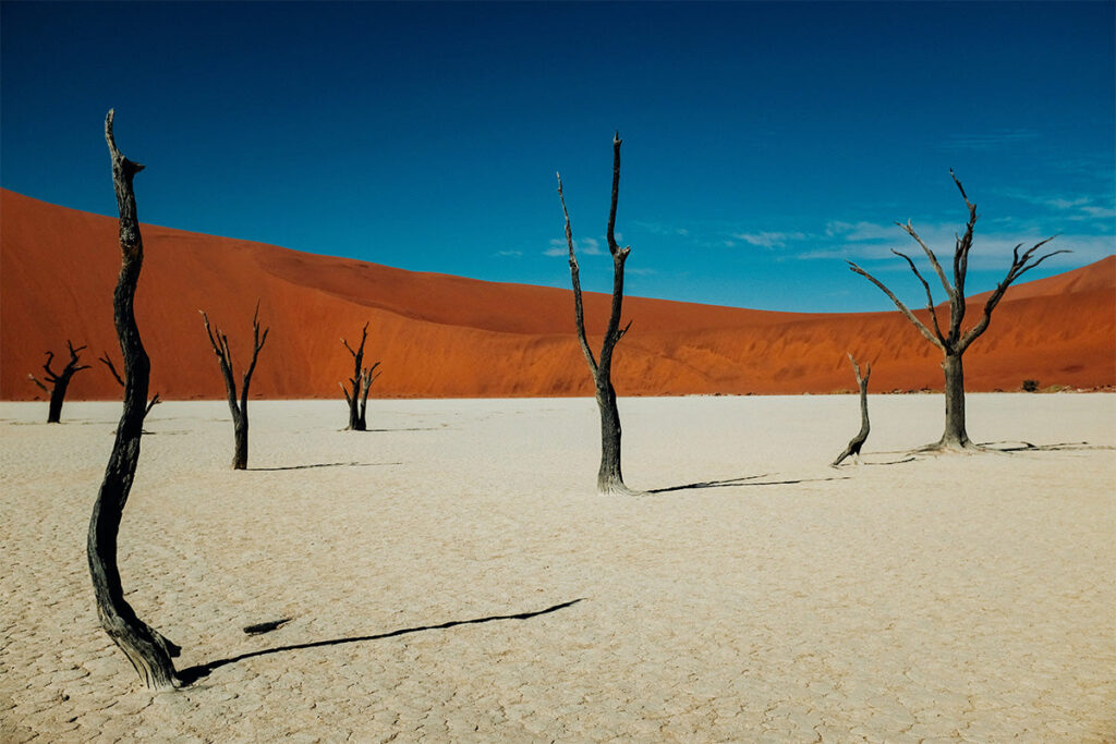 découvrez la beauté sauvage de la namibie à travers ses parcs naturels riches en biodiversité, paysages époustouflants et aventures inoubliables. explorez la faune incroyable, des dunes emblématiques aux plaines ouvertes, et vivez une expérience unique au cœur de la nature.