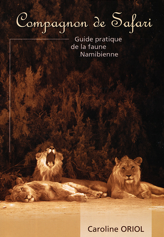 découvrez la incroyable faune namibienne, un voyage au cœur de la biodiversité unique des paysages désertiques, savanes et parcs nationaux de namibie. rencontrez des espèces emblématiques comme les éléphants du désert, les lions, et les zèbres, tout en explorant les habitats naturels préservés de ce pays fascinant.