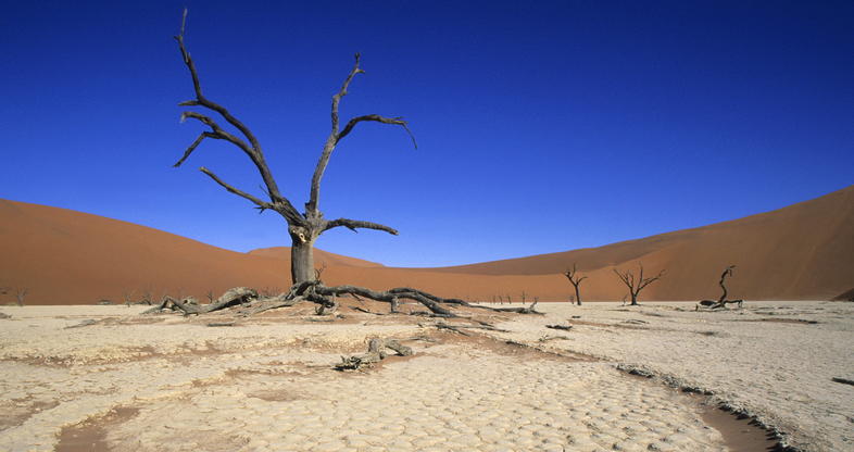 découvrez le parc national de naukluft, un trésor de la namibie, célèbre pour ses paysages grandioses, ses canyons majestueux, et sa biodiversité unique. parfait pour les amoureux de la nature et les aventuriers en quête d'expériences inoubliables.