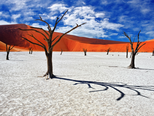 découvrez notre lexique sur la namibie, un guide complet des termes et expressions essentiels pour mieux comprendre ce pays fascinant et sa culture unique.