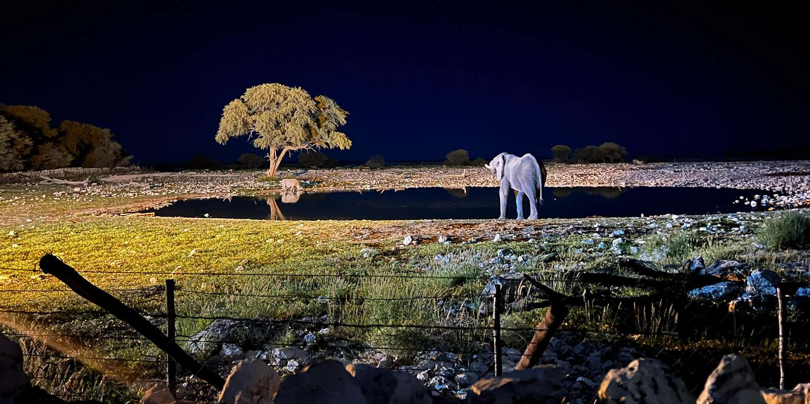 découvrez l'aventure inoubliable d'okaukuejo, un véritable sanctuaire de la nature dans le parc national d'etosha en namibie. rencontrez une faune fascinante, vivez des safaris palpitants, et profitez de la beauté sauvage de ce lieu exceptionnel.