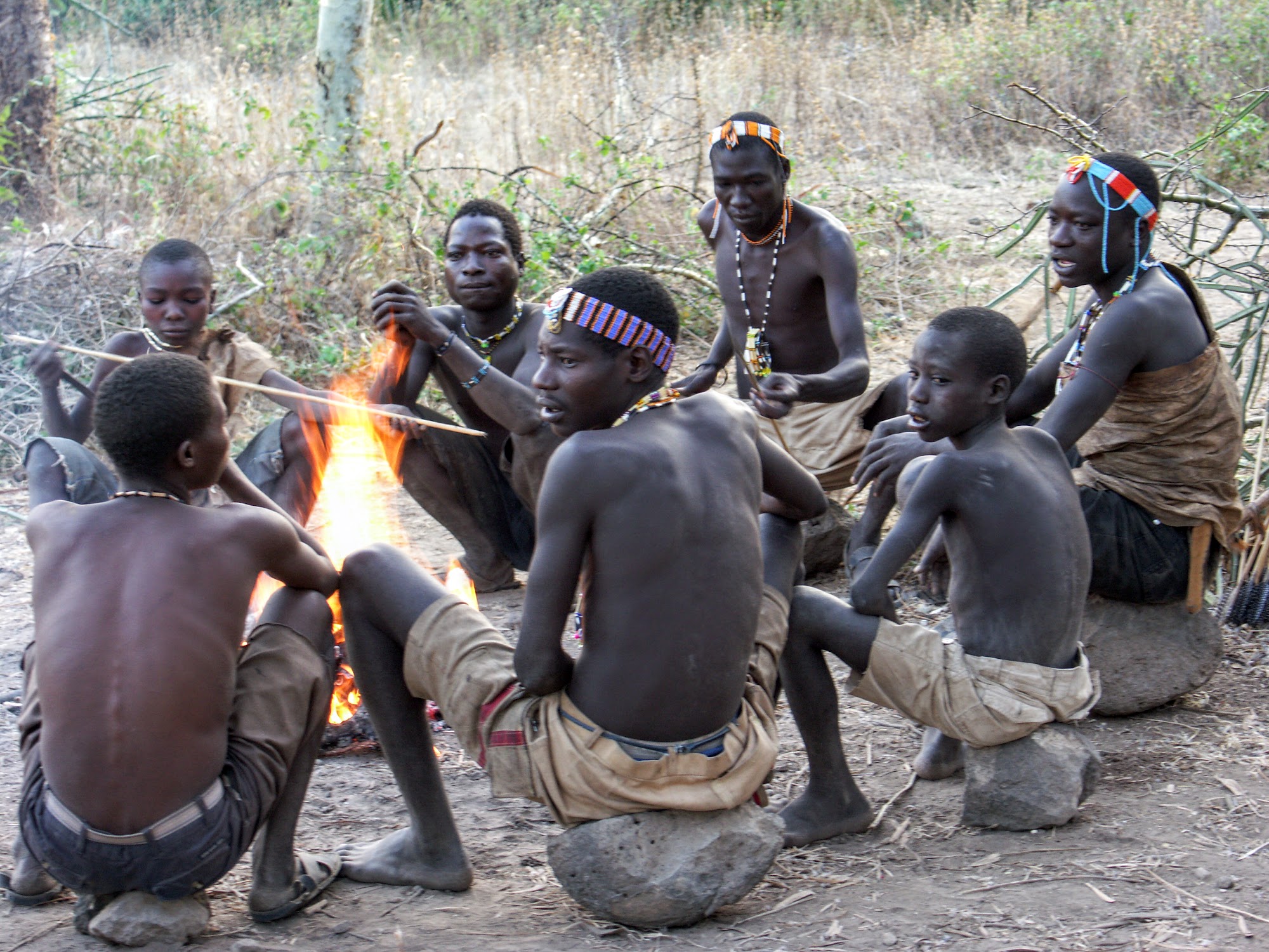 découvrez les khoïsans, peuple ancien d'afrique du sud, et plongez dans leurs racines humaines fascinantes. explorez leur culture unique, leur langue extraordinaire et leur connexion profonde avec la nature. apprenez comment ce groupe emblématique révèle l'histoire de l'humanité.