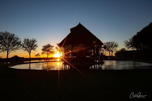 découvrez mariental, une destination fascinante où la nature sauvage rencontre la culture enrichissante. explorez ses paysages uniques, ses attractions locales et plongez dans une expérience inoubliable au cœur de cette région pleine de surprises.