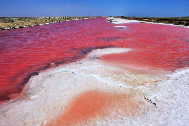 découvrez walvis bay, une charmante ville côtière en namibie, célèbre pour ses paysages spectaculaires, sa faune marine exceptionnelle et ses activités palpitantes comme le kayak, la pêche et l'observation des oiseaux. parfait pour les aventuriers et les amoureux de la nature.