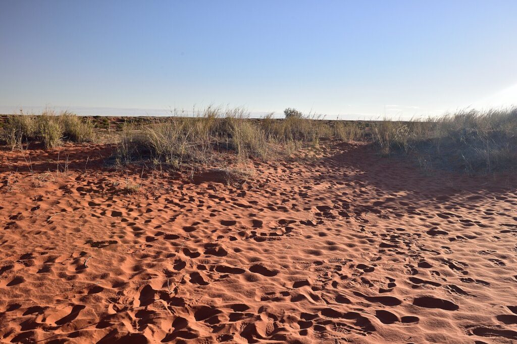 désert du Kalahari