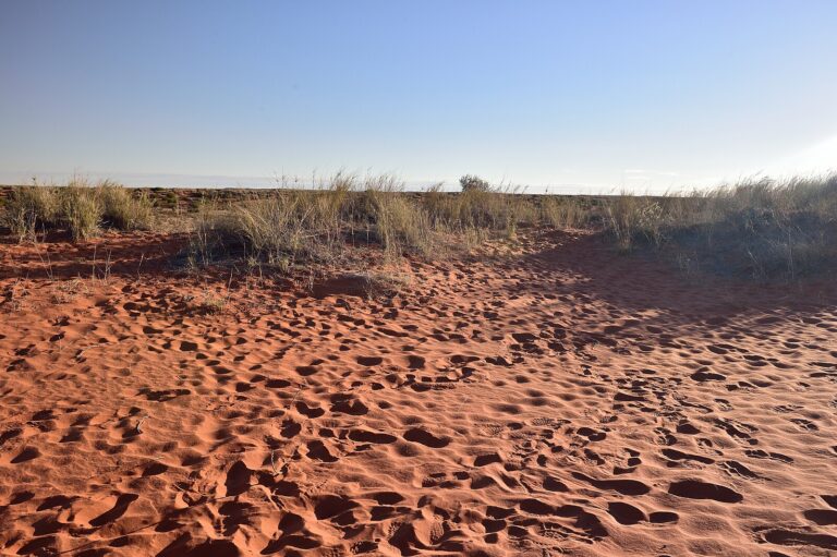 désert du Kalahari